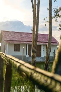 Mangrove Forest Camp Eco Stay Sundarbans, India - 4