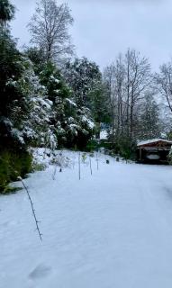 Chalet con Tinaja LicanRay - 6