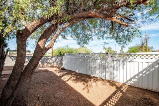 Close proximity to UofA, Pet-Friendly, Workspace! - 3