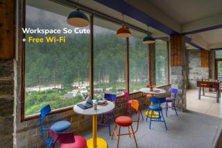 goSTOPS PLUS Kasol - 5