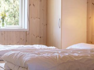 5 star holiday home in Thisted - 1