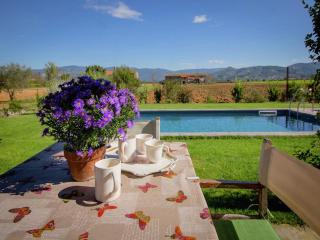 Villa in Cortona with Private Pool and Views - Cortona - 3