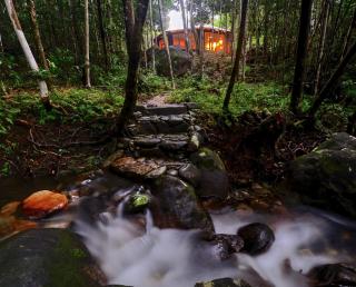 Daintree Cascades - Cape Tribulation - 0