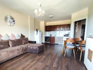 Deluxe Apartment "Detelina" 200m from SKI ROAD - 8