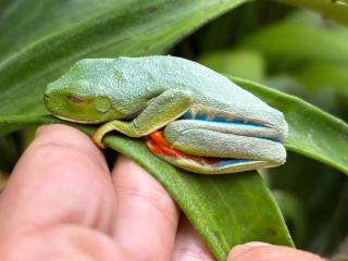 Cabañas Litos #1 - 2