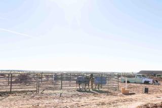 Glitter and Grit! The Wild West 40 Homestead - 7