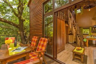 Treehouse Dubrovnik - Čilipi - 9