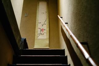 花見 高瀬川 - 9