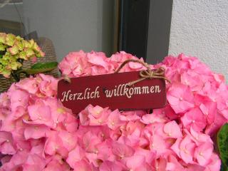 Alpina Appartements - Schröcken - 9