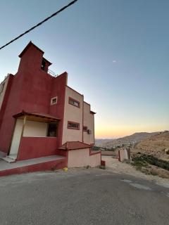 Petra Brothers - - 8