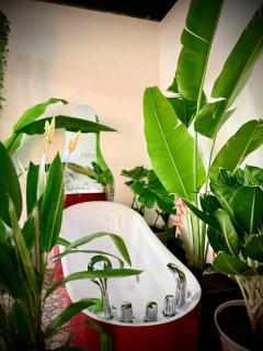 Thiên Nhiên Hotel - Ấp Mỹ Qứi - 5