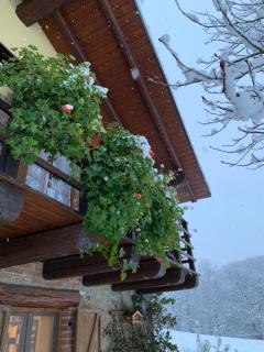 Mountain Chalet Ca' dal Ghiru - Sagliano Micca - 5