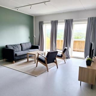 Helt ny sentral 2-roms leilighet i Dyrøy - - 2
