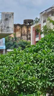 Gullu Kuku Homestay - Jaipur - 6