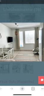 Studio Lintulammentie - 4