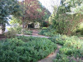 Villa Reinet Guest House - Graaff-Reinet - 1