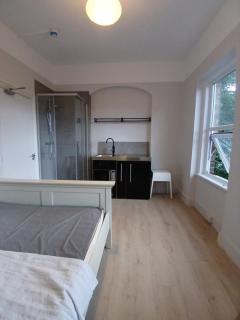Spacious Studio Lewisham - Londres - 2