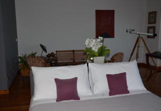 Suite 52 - Naples - 5