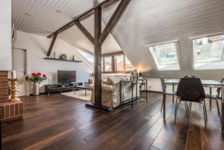 NYON - SUPERB flat by the lake - 9