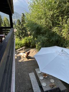 Chalet Arnica - 7
