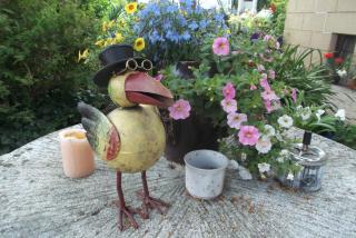 Pension Vogtländer - 3