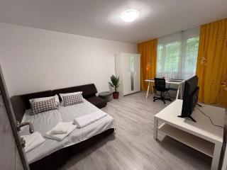 Garsoniera langa Spital Bagdasar,Obregia și Institutul pentru ordine publica NU OFER FACTURA - Bucarest - 0