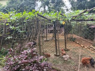 Denzong House - 5