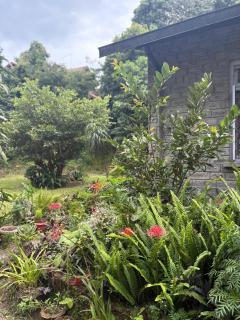 Denzong House Homestay - 2