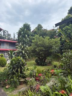 Denzong House Homestay - 4