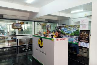 Sonya Residence - Patong Beach - 1