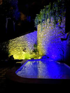 Evelyns Pool Garden - 3