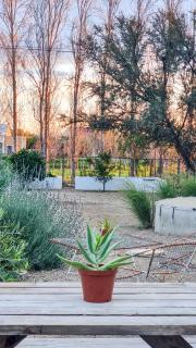 Poplar Karoo Escape - 9