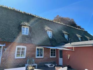 Ferienwohnung Ella - Reet und Erholung - Ringsberg bei Glücksburg - Ringsberg - 3