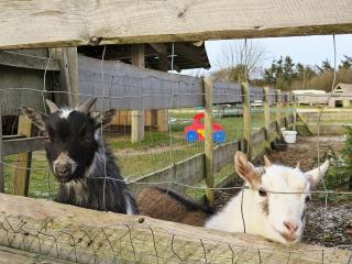 4 person holiday home in Struer - 1