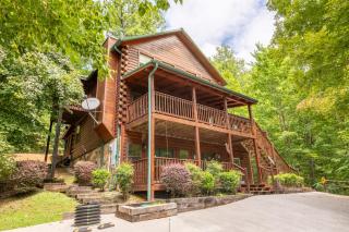 Lone Wolf By Avada Properties - 6