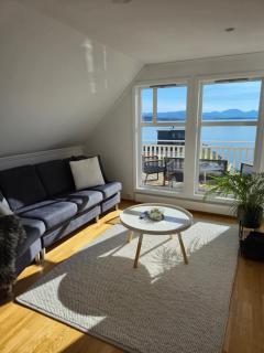 White Cat Guesthouse - 9