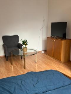 Stilvolle Altbau Wohnung im Zentrum von Detmold - Detmold - 7