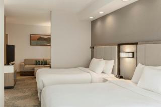 Springhill Suites by Marriott Frankenmuth - 5