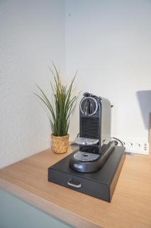 Auenblick -Natur genießen, Leipzig erleben - 2