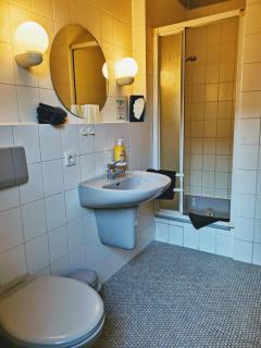 Kaiserstühler-Hof - Vieux-Brisach - 4