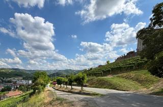 Anna's house - Neive - 6