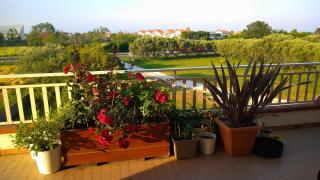 Camera singola in affitto con bagno privato interno - 1