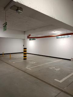 Miss Gold & Mini Lux - 1