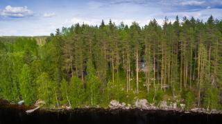 Mustikkakallio Luxury Villa - Keuruu - 0