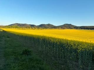Ferienwohung Rotkehlchen - Kurort Gohrisch - 2