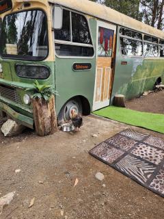 Banksia Bus - 9
