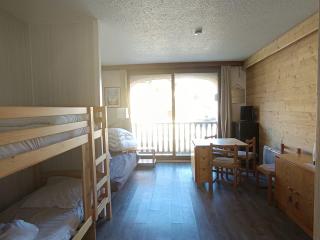 Studio lumineux 4 pers, pistes et commerces à 50m, animaux admis - FR-1-445-195 - 2
