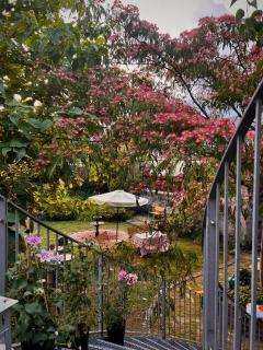 A place of serenity! - 4