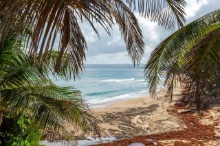 Coralina del Mar - 6