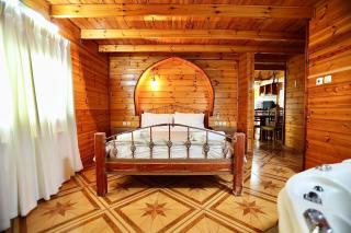 חלום שלמה - 0